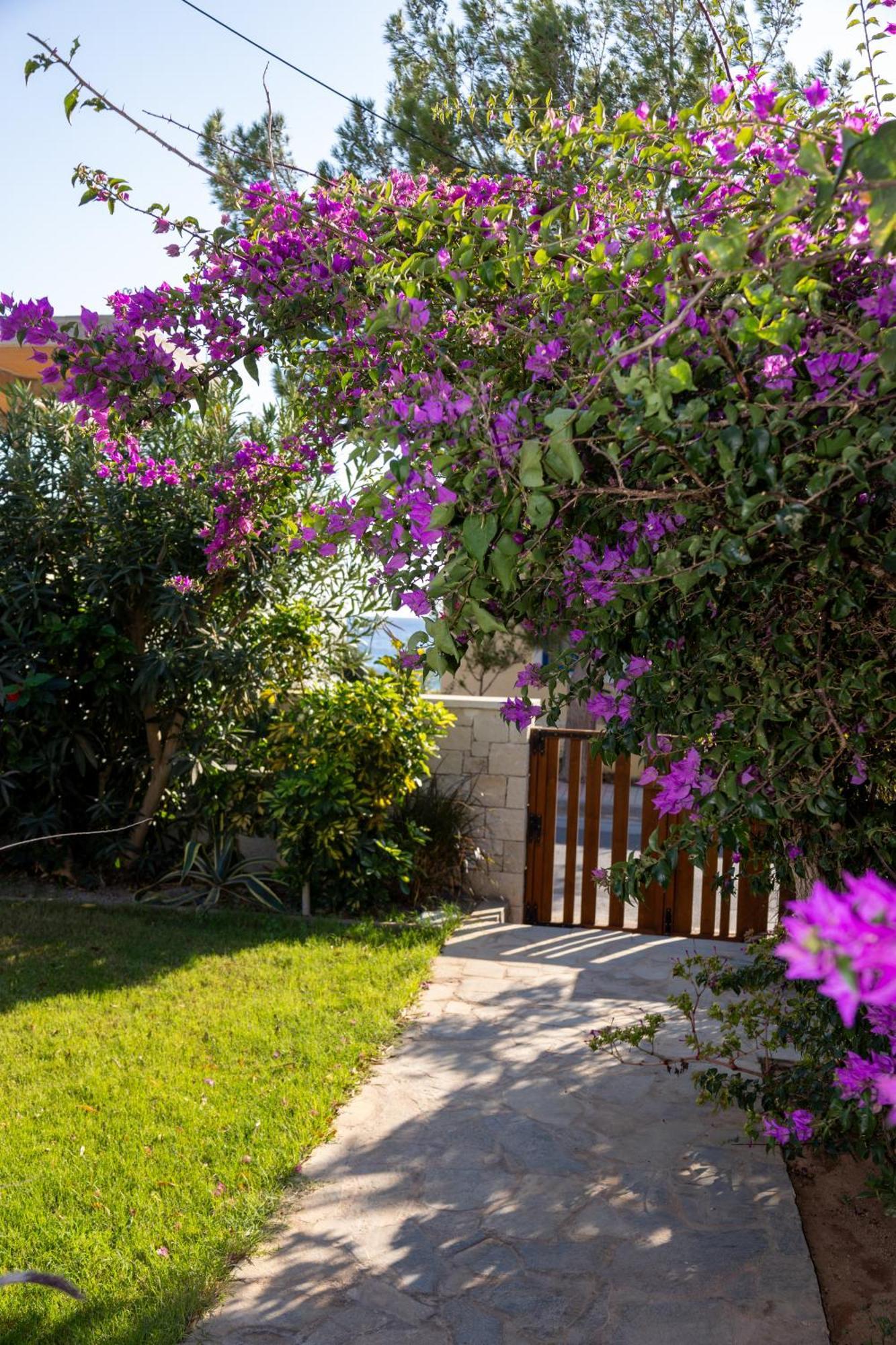 Okeanis Mystique South Aparthotel Ιεράπετρα Εξωτερικό φωτογραφία