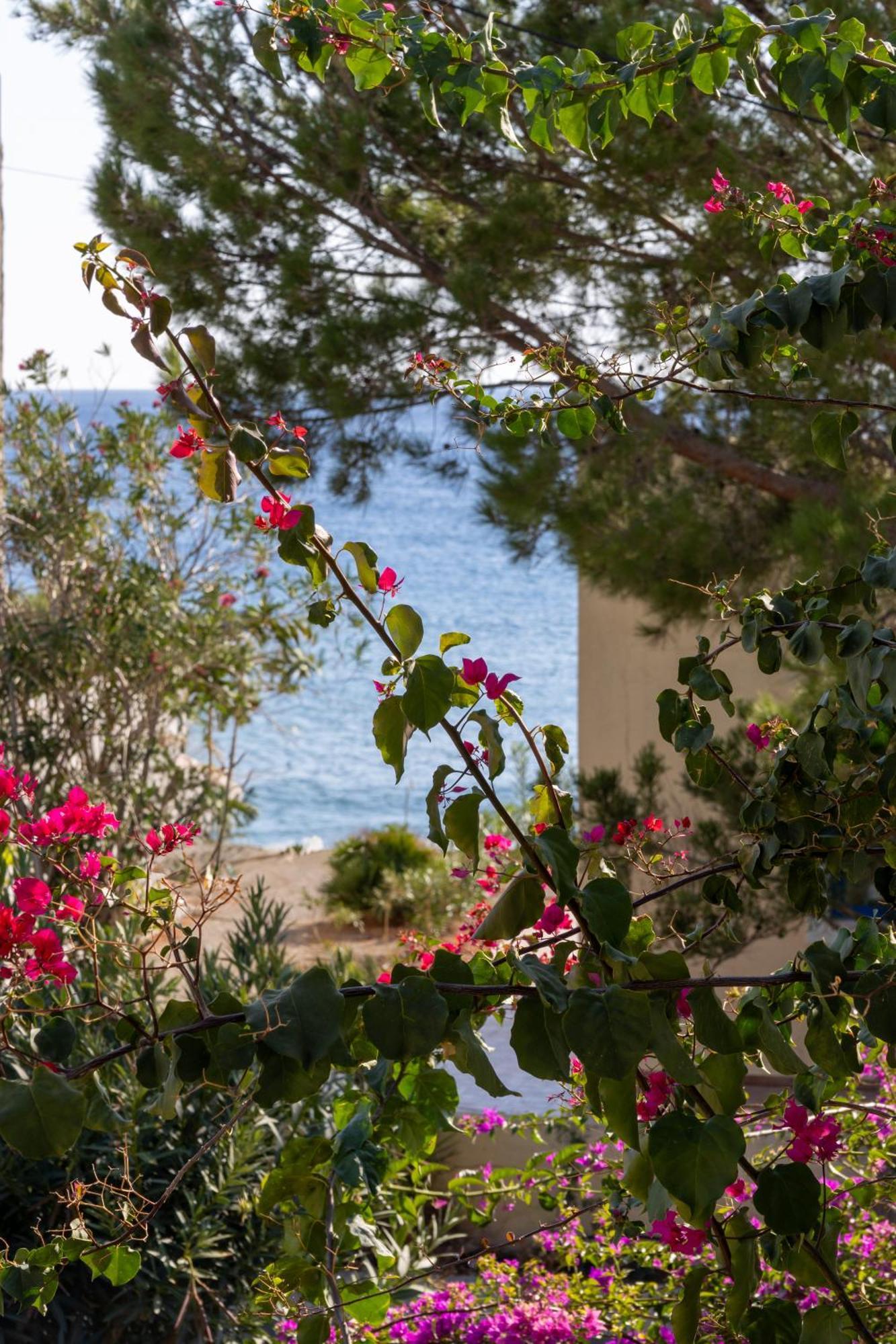 Okeanis Mystique South Aparthotel Ιεράπετρα Εξωτερικό φωτογραφία